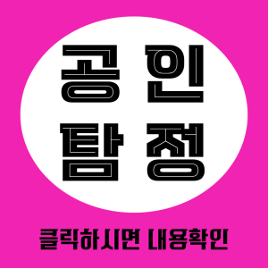 공인탐정